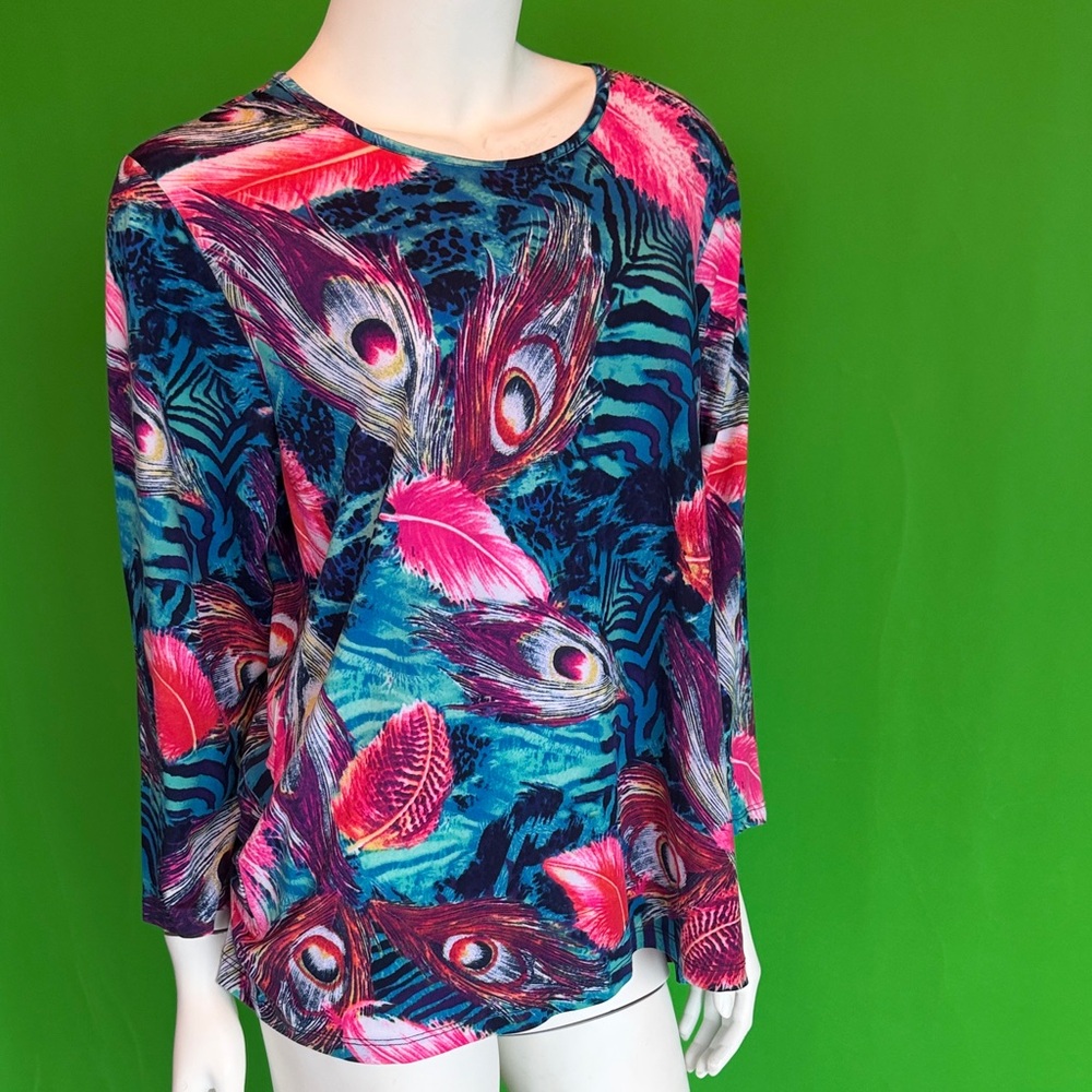 Alia Multicolor Feather Print Long Sleeve Top